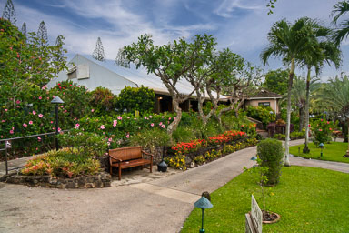 DSC00318-Edit.jpg