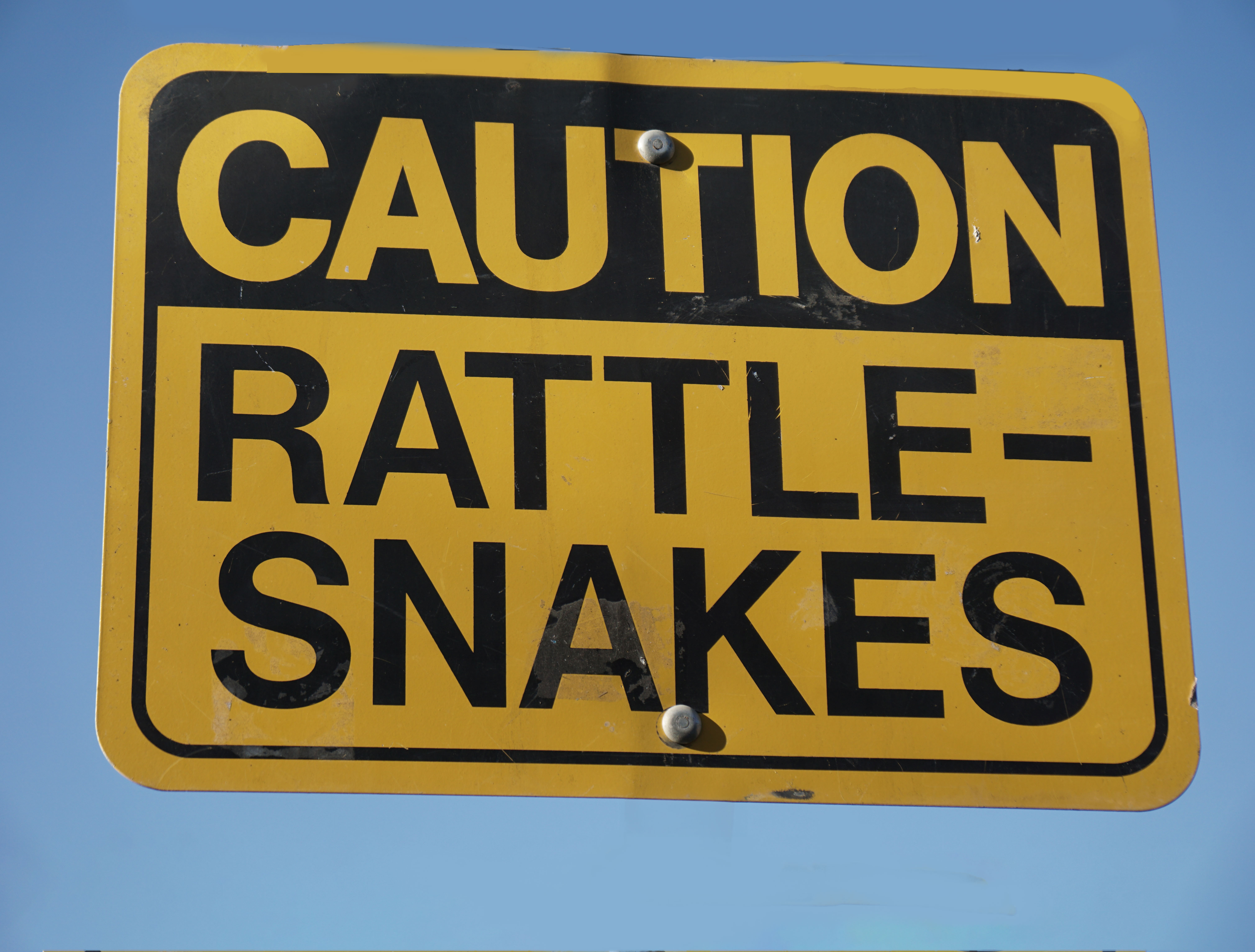 rattlesnakes-sign-Edit.jpg